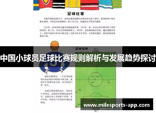 中国小球员足球比赛规则解析与发展趋势探讨